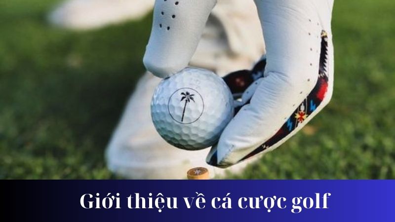 Cách thức cá cược golf