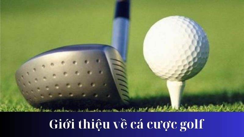 Lý do tại sao cá cược golf trở nên phổ biến