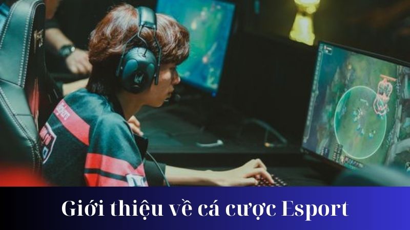 Lợi ích của việc tham gia cá cược Esport