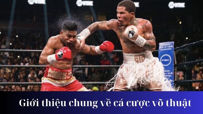 Các loại hình cá cược võ thuật phổ biến