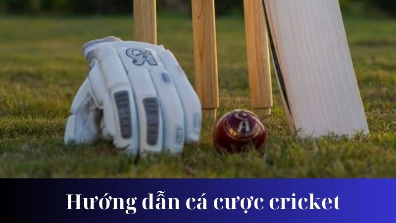 Cách đặt cược cricket an toàn và hiệu quả