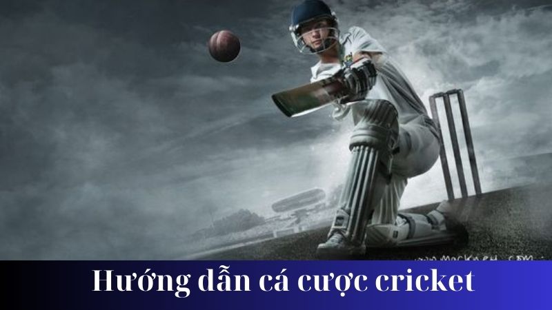 Chiến lược cá cược cricket hiệu quả