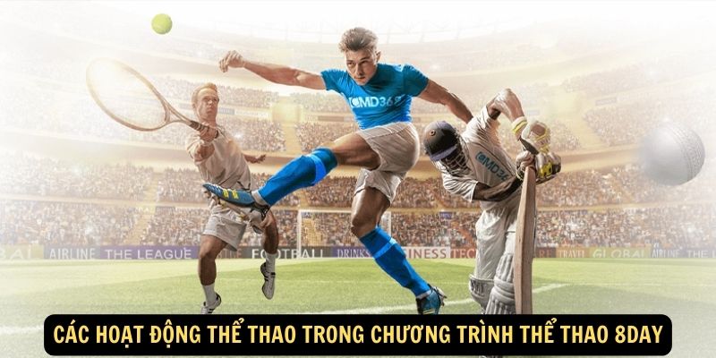 Các hoạt động thể thao trong chương trình Thể Thao 8day