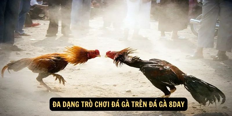 Đa dạng trò chơi đá gà trên Đá Gà 8day