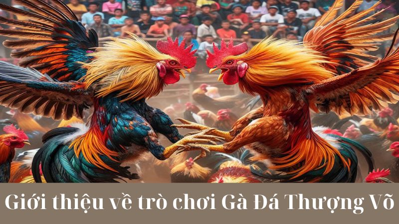 Cách chơi Gà Đá Thượng Võ