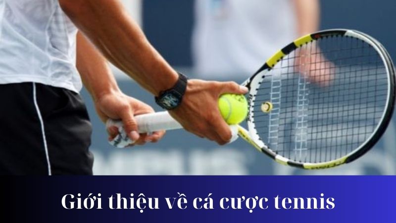 Chiến thuật cá cược tennis